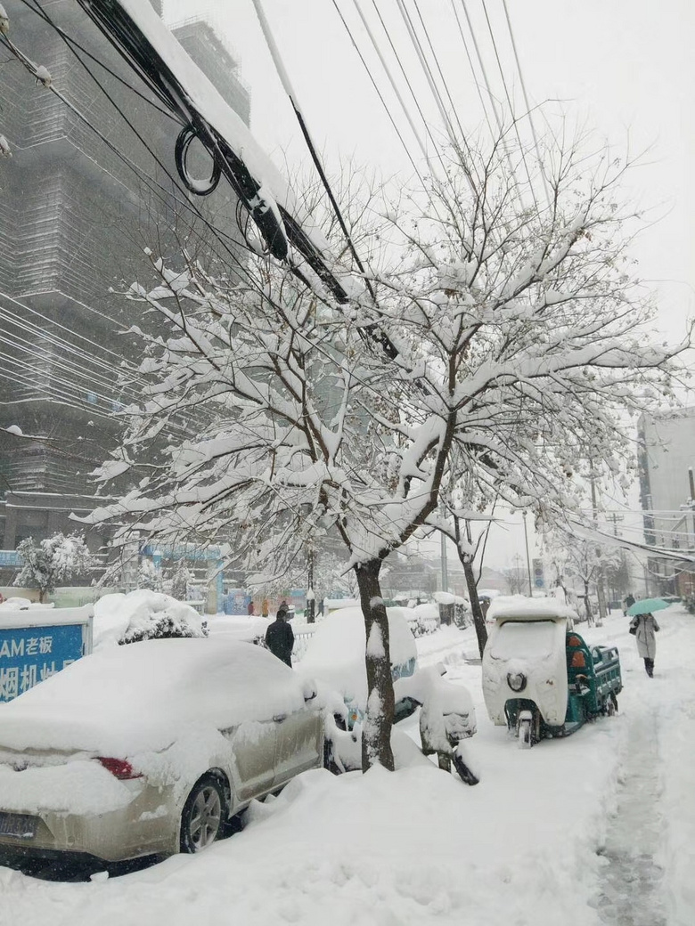 2818年的第一场雪