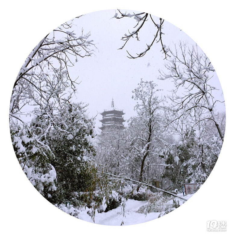 「何谓孤寂?」「清风,艳日,无笑意」「可-爱在