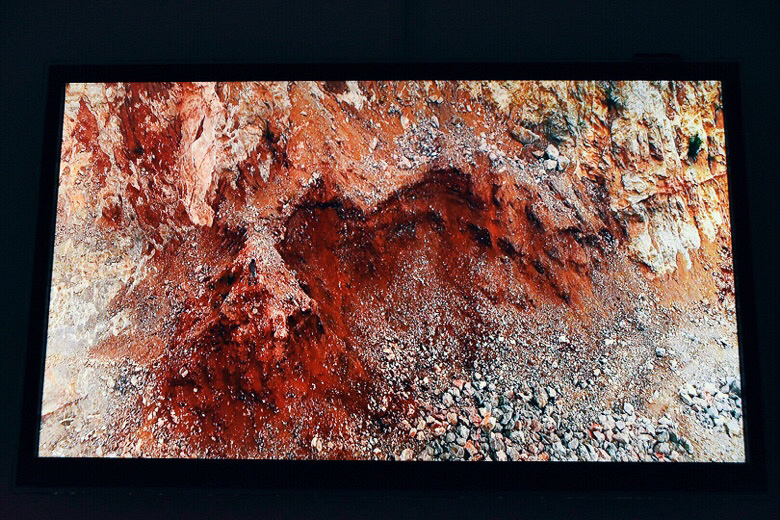 ������ǰ����Ƭ�������Լ�ֻ���