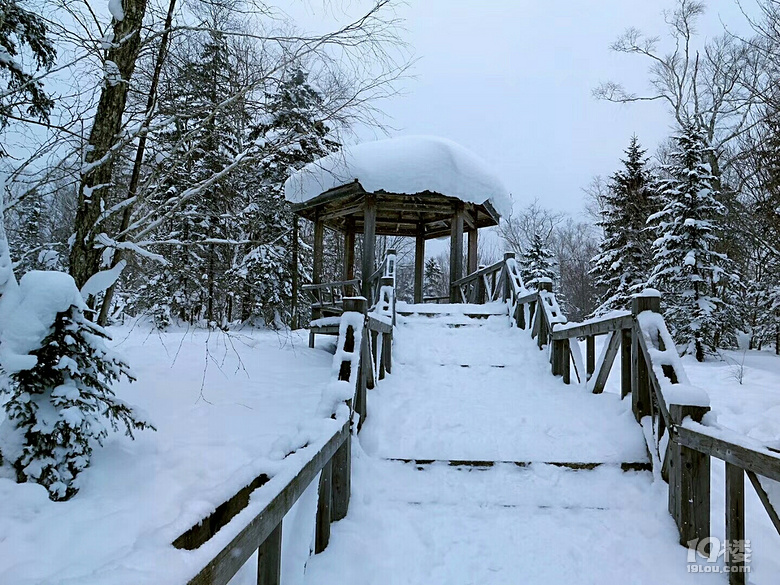 幸福不是邂逅的,而是修炼出来的,人生如天