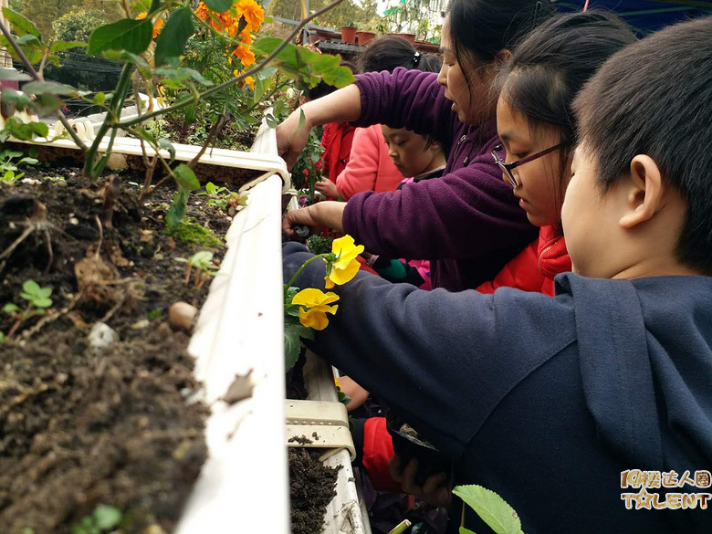 【小眼睛环保】让社区家庭成员一起来养护种植花艺