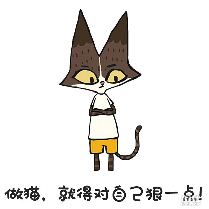 猫尾巴里藏着情绪,你能读懂几句?