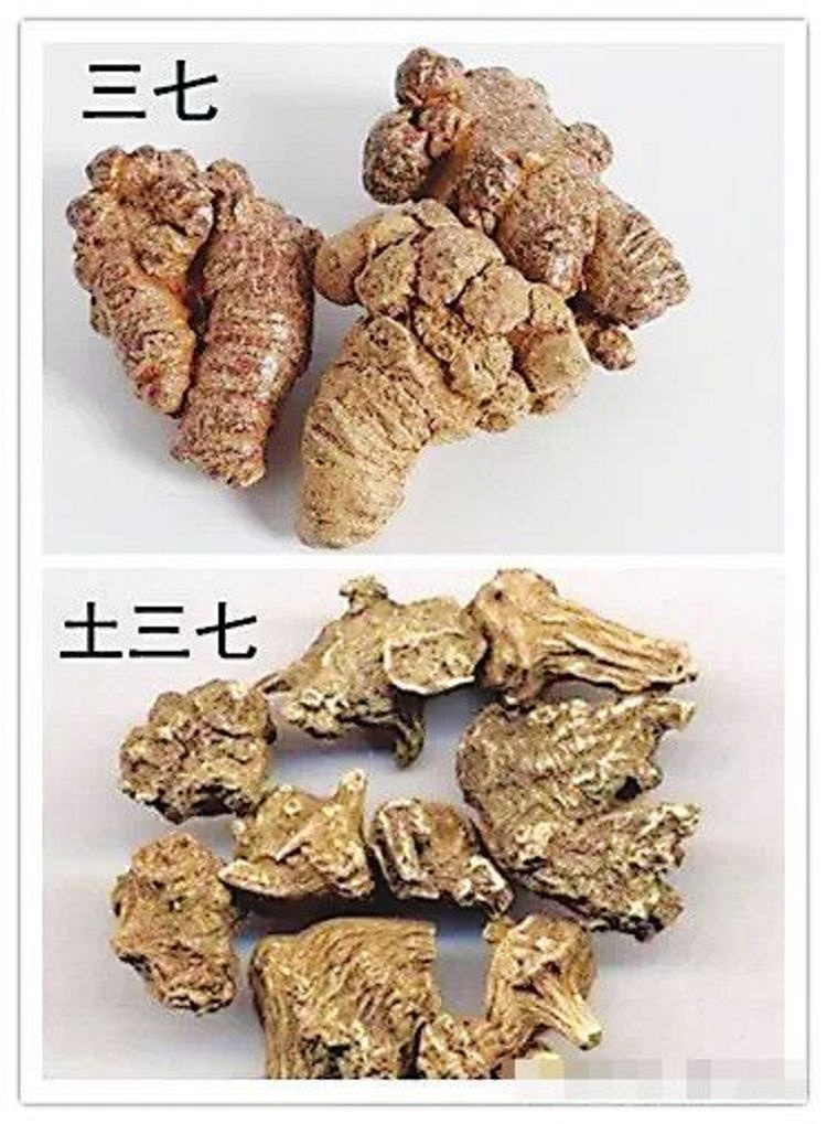 一剂补药将老汉放倒服中药不能佛系
