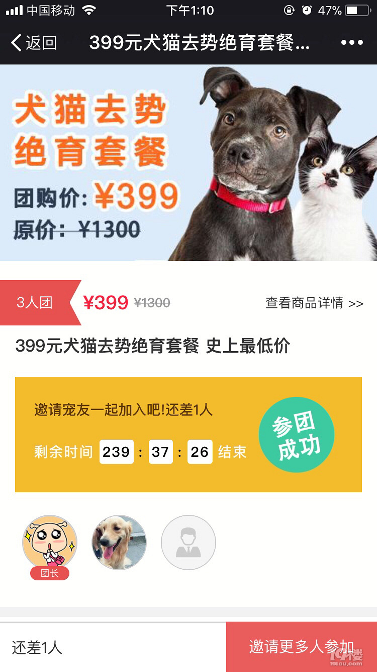 一起团购绝育套餐啊!