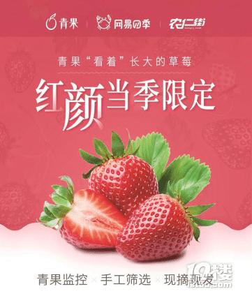 易信青果進(jìn)軍互聯(lián)網(wǎng)農(nóng)業(yè) 打造看得見的食品安全