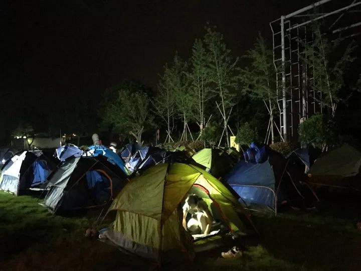 莫干山兩日植樹節(jié)親子游