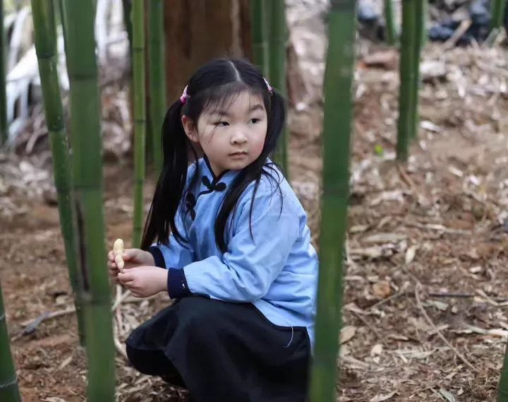 莫干山兩日植樹節(jié)親子游