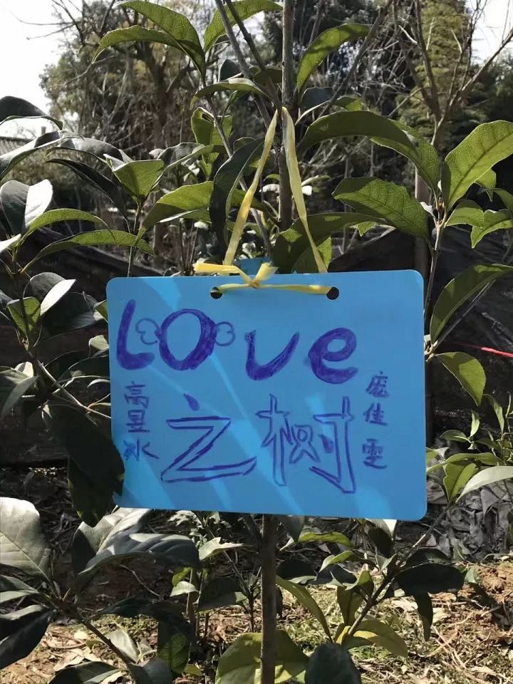 莫干山兩日植樹節(jié)親子游