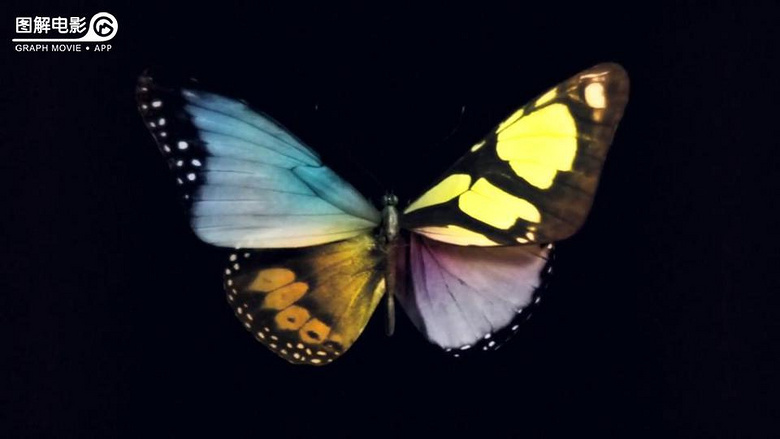 图解电影《恐怖星系》cult味分段又来了!-第46