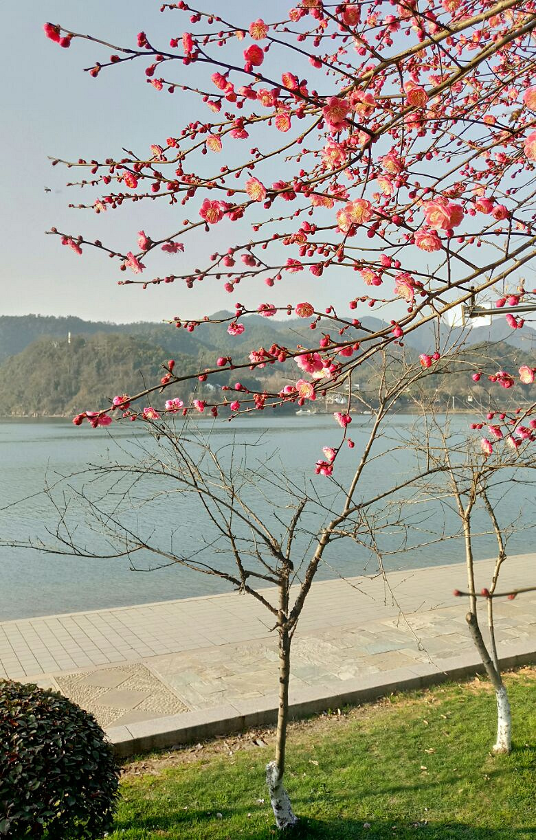 不负韶光,走出家门赏美景!