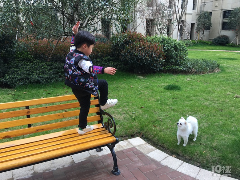 谁带走了我家的狗!