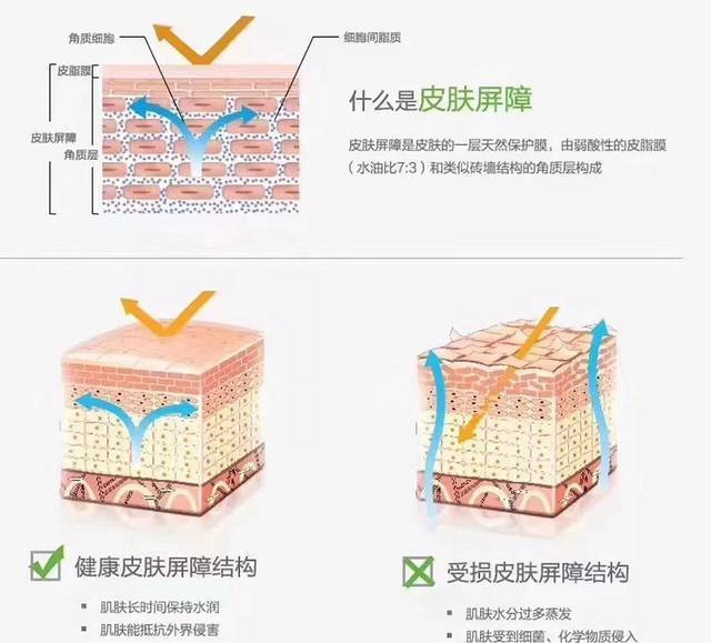 激素脸很干起皮,还长很多小红疹子,这些症状多
