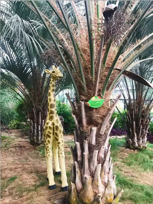 莫干山陽(yáng)光生態(tài)園(2018年)