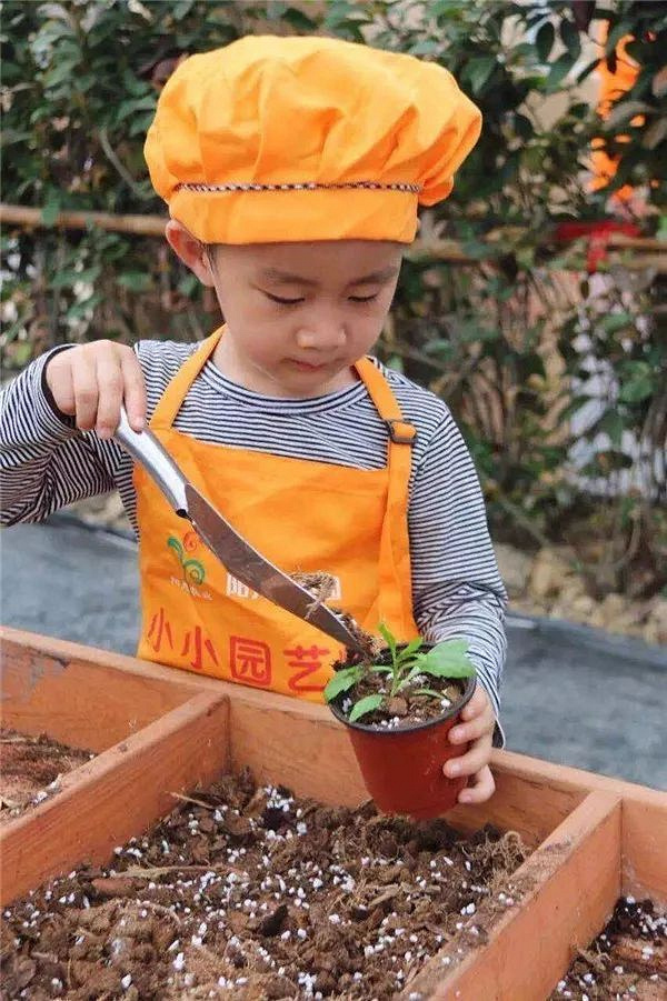 莫干山陽(yáng)光生態(tài)園(2018年)