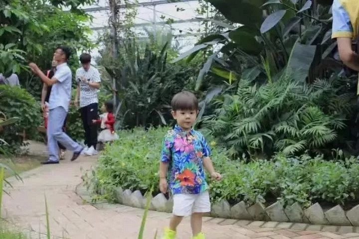 莫干山陽(yáng)光生態(tài)園(2018年)