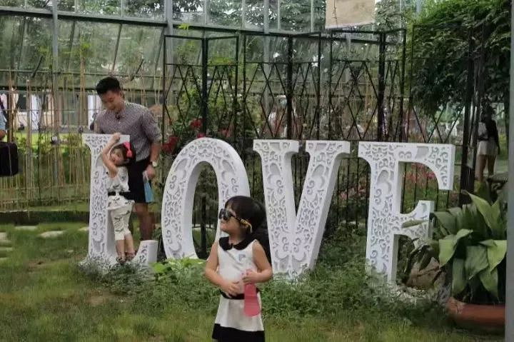 莫干山陽(yáng)光生態(tài)園(2018年)