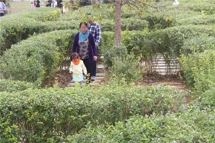 莫干山陽(yáng)光生態(tài)園(2018年)