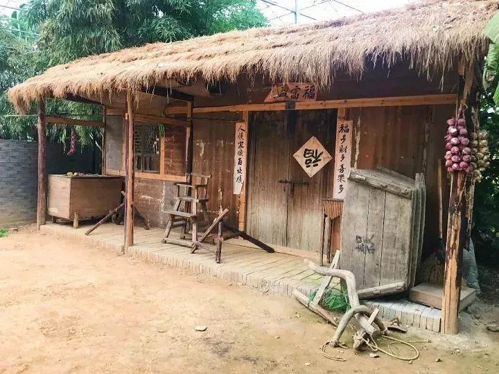 莫干山陽(yáng)光生態(tài)園(2018年)