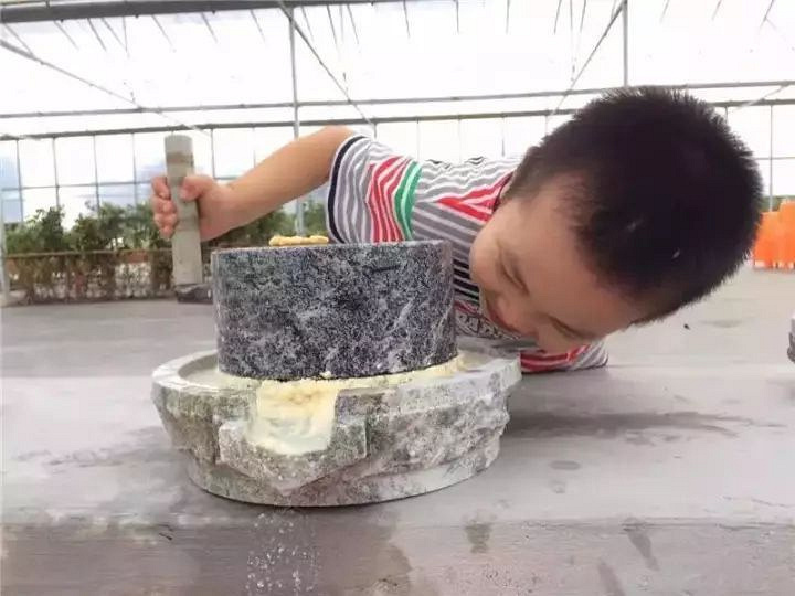 莫干山陽(yáng)光生態(tài)園(2018年)