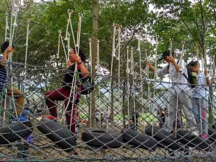 莫干山陽(yáng)光生態(tài)園(2018年)
