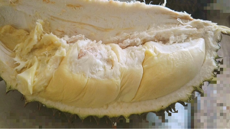 卖越南进口猫山王榴莲,边境直发