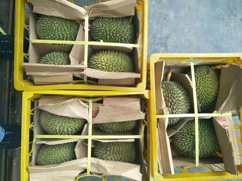 卖越南进口猫山王榴莲,边境直发