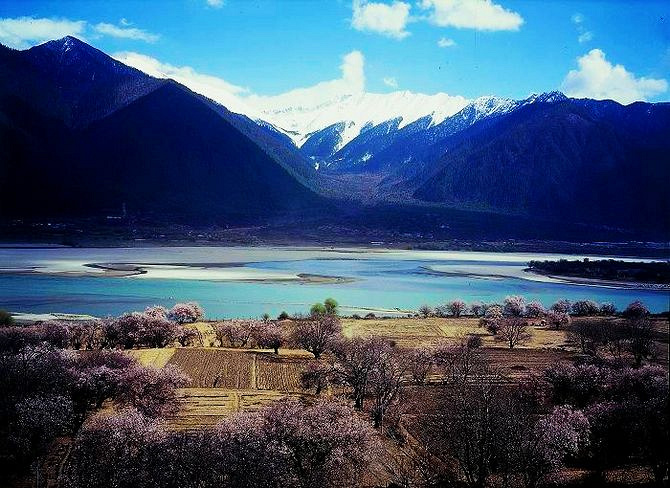 春暖林芝