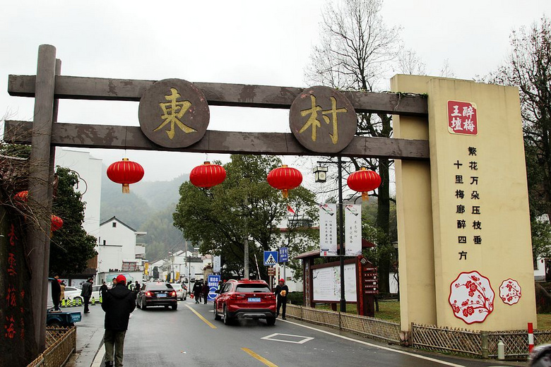绍兴王坛东村雨中赏梅