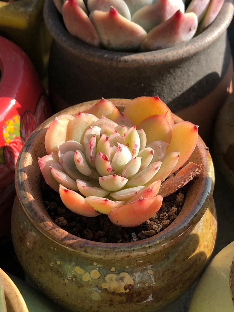 一天能发三贴吧