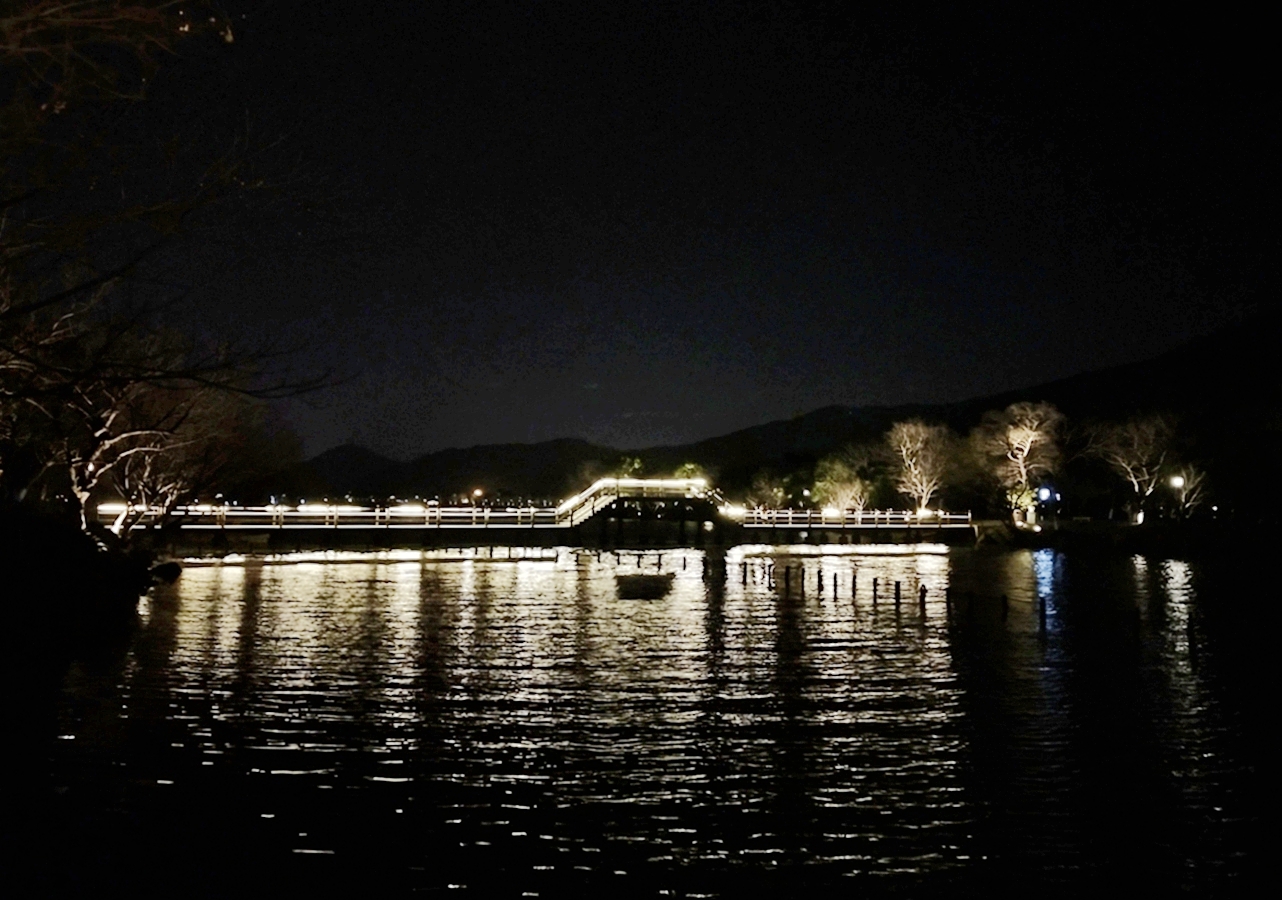 美丽夜湘湖
