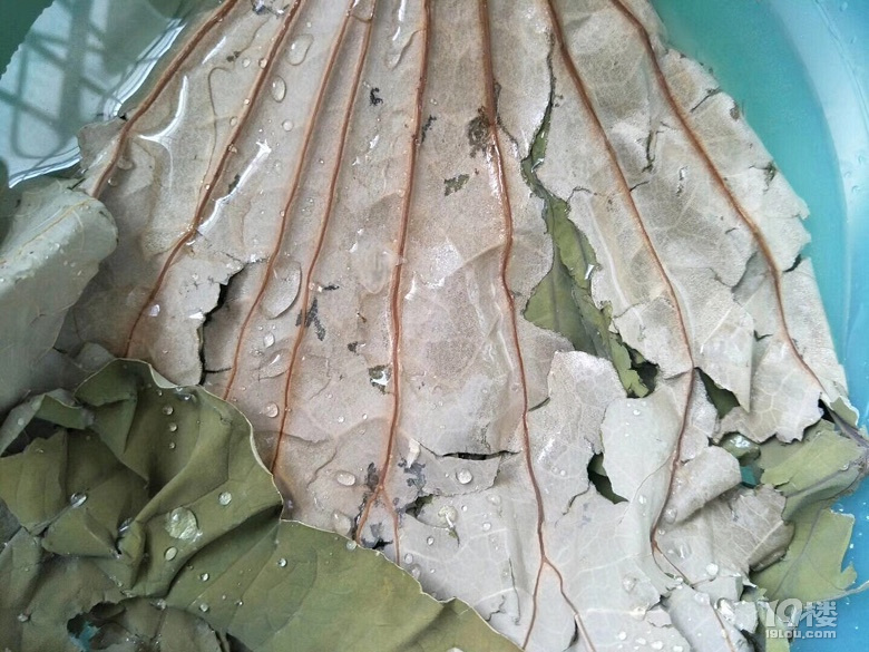 减肥都是扯谈了,我一个人吃了一笼肉圆,好