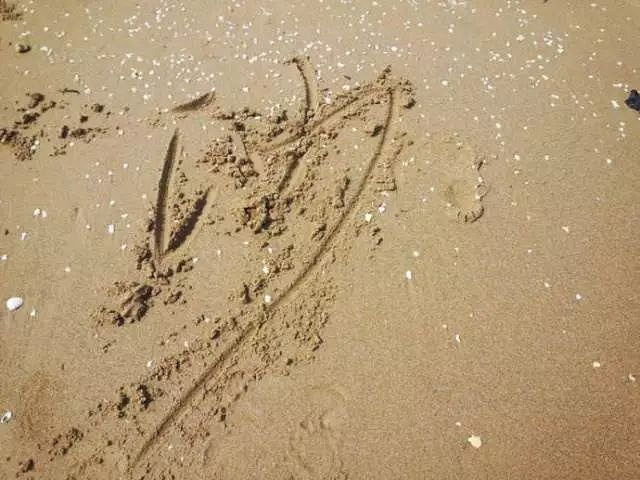 书法的意境:用笔当如“锥画沙”,如“印印泥”