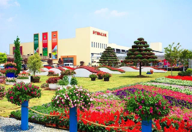 海宁虹越花卉园区