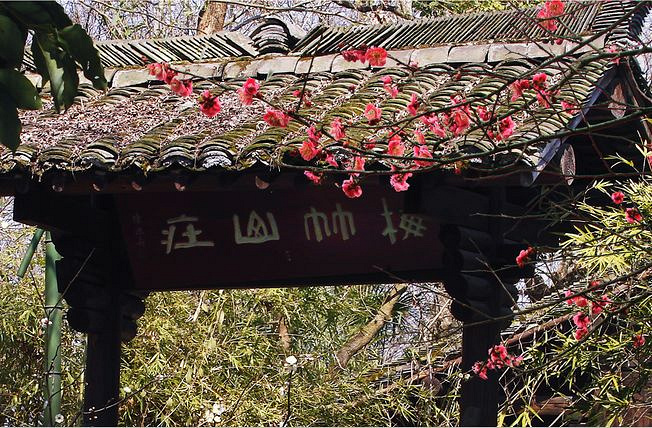 以诗画会友&mdash;梅竹山庄