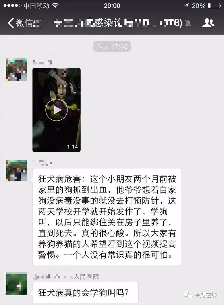 辟谣:平湖微信群传小男孩学狗叫真是狂犬病发