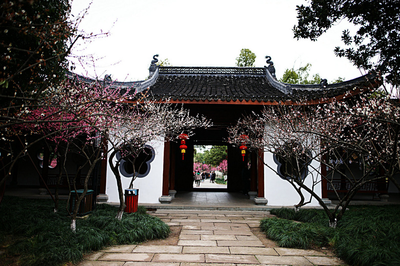 塘栖超山风景区大明堂赏梅