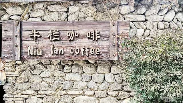 徜徉荻蒲古村花海,探索富春江桐洲岛深度亲子营(2日)