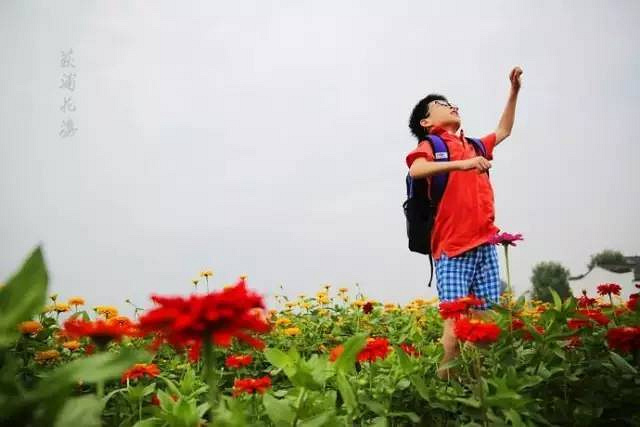 徜徉荻蒲古村花海,探索富春江桐洲岛深度亲子营(2日)