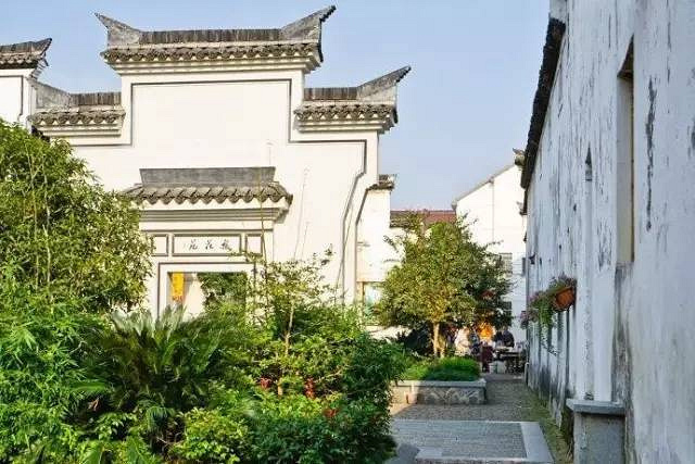 徜徉荻蒲古村花海,探索富春江桐洲岛深度亲子营(2日)