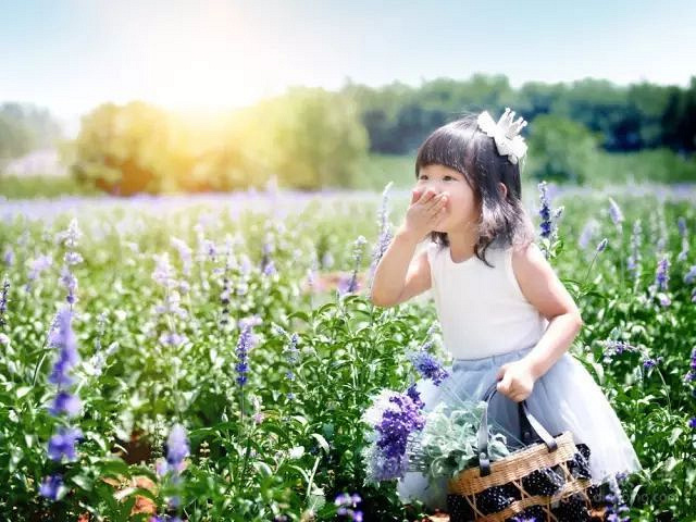 徜徉荻蒲古村花海,探索富春江桐洲岛深度亲子营(2日)