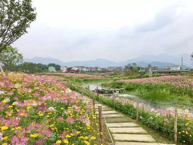 徜徉荻蒲古村花海,探索富春江桐洲岛深度亲子营(2日)