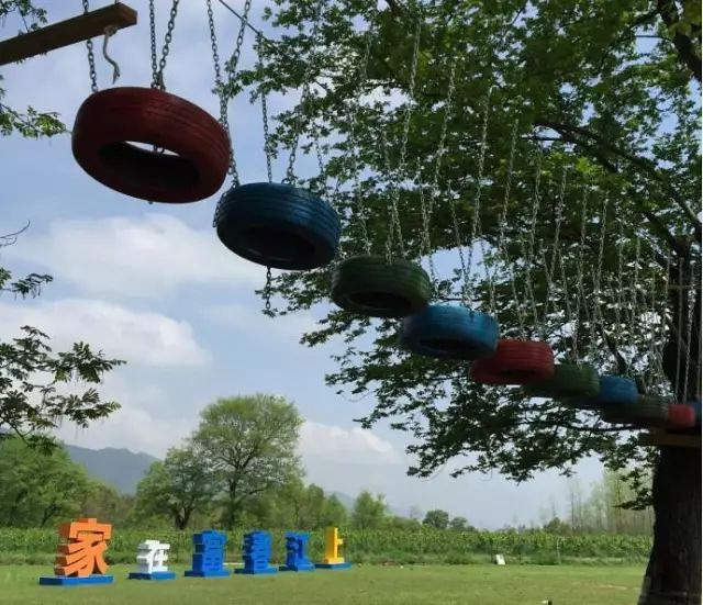 徜徉荻蒲古村花海,探索富春江桐洲岛深度亲子营(2日)
