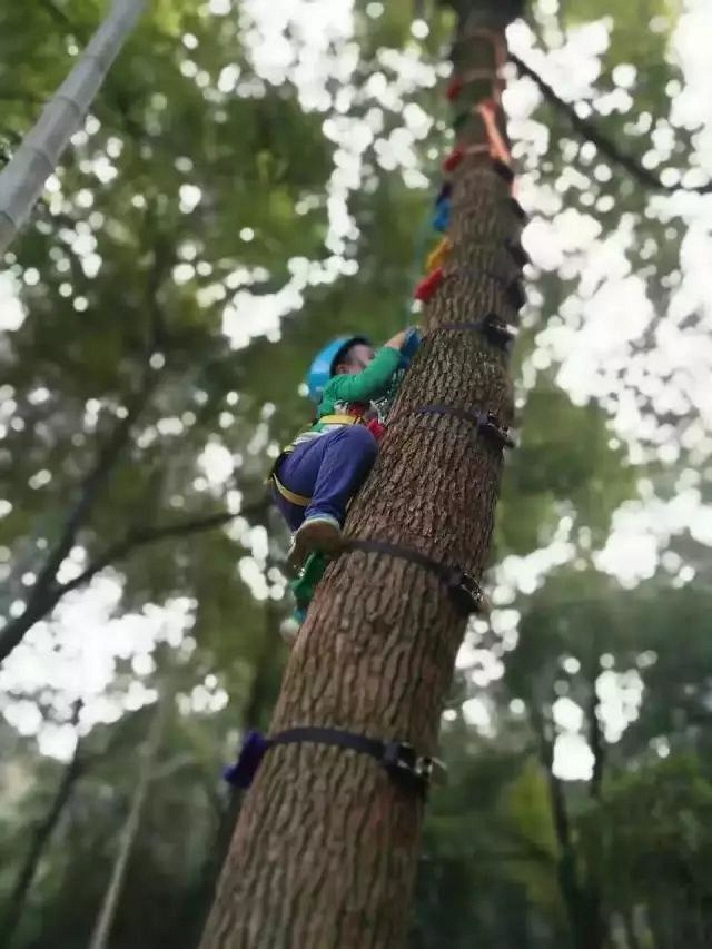 徜徉荻蒲古村花海,探索富春江桐洲岛深度亲子营(2日)