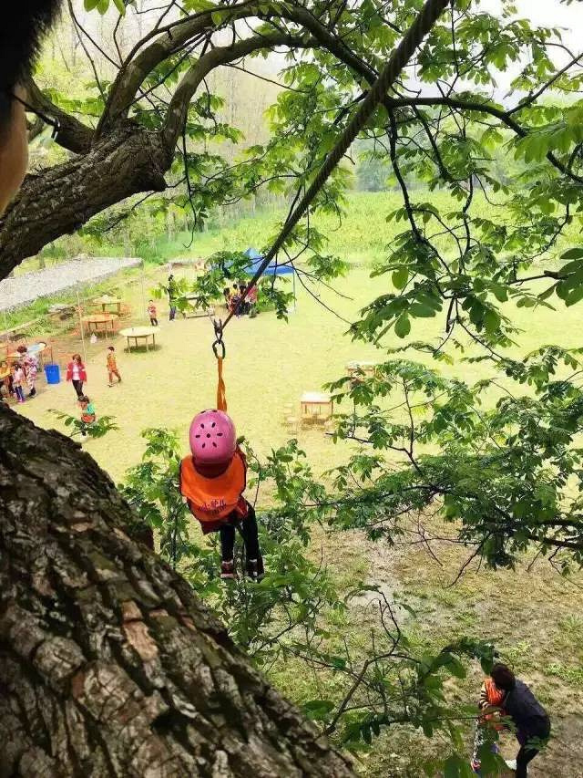徜徉荻蒲古村花海,探索富春江桐洲岛深度亲子营(2日)