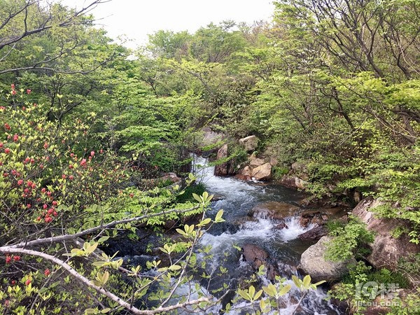 3-4月徒步吳越古道,穿越千傾關(guān), 賞浙西天池風(fēng)光招募