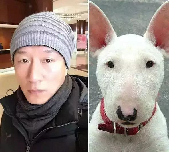 这大概是长得最像人的狗子了!网友:希望今晚