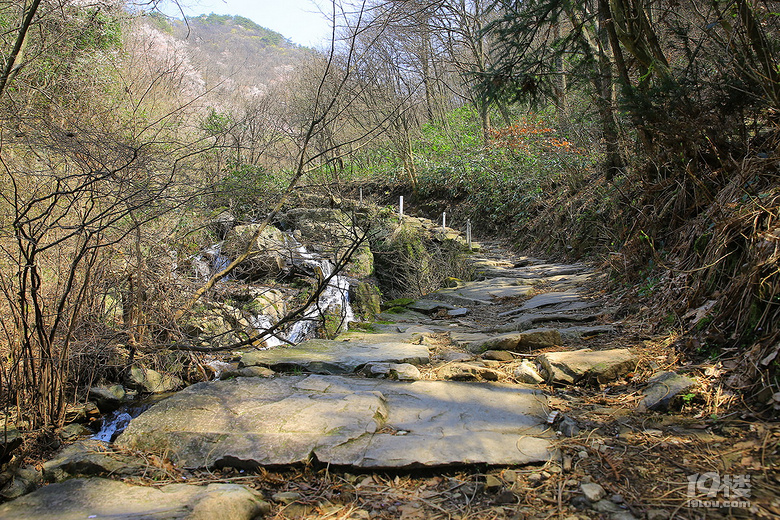 【春游記】+【吳越古道】——櫻花爛漫幾多時
