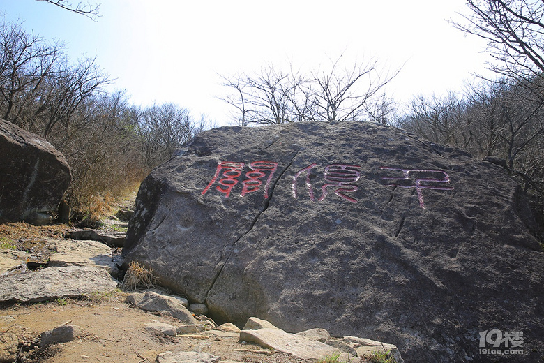 【春游記】+【吳越古道】——櫻花爛漫幾多時