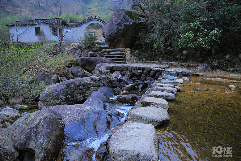 【春游記】+【吳越古道】——櫻花爛漫幾多時