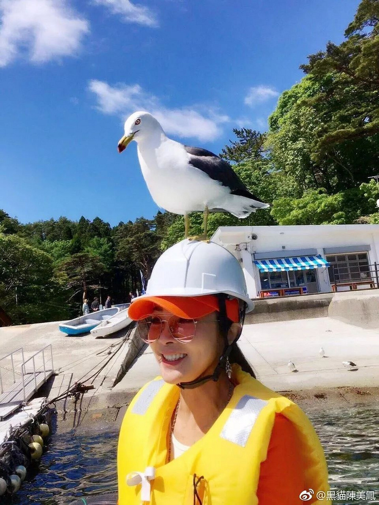 "台湾地区最美欧巴桑"62岁优雅依旧,真正的美丽,从来都与年